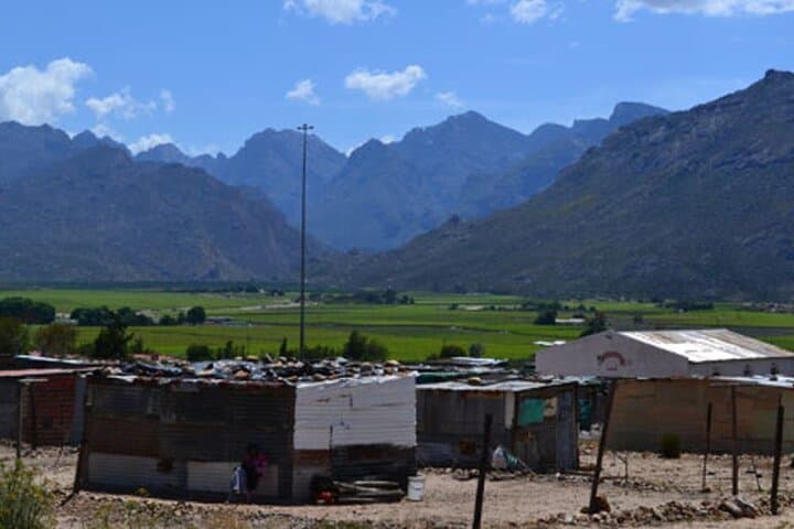 Langa Farmhand Stories: Vineyard Worker & Labour Activist Experience in Cape Town photo 3