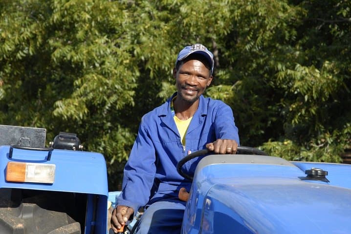 Langa Farmhand Stories: Vineyard Worker & Labour Activist Experience in Cape Town photo 2
