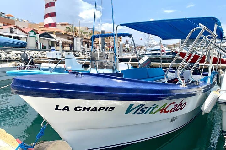 Glass-Bottom Boat to Land's End: El Arco, Lover's Beach & Marine Life photo 1