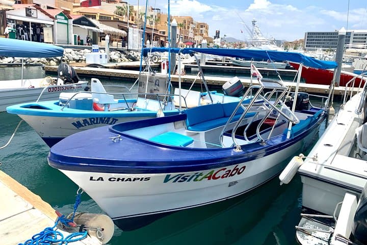 Glass-Bottom Boat to Land's End: El Arco, Lover's Beach & Marine Life photo 2