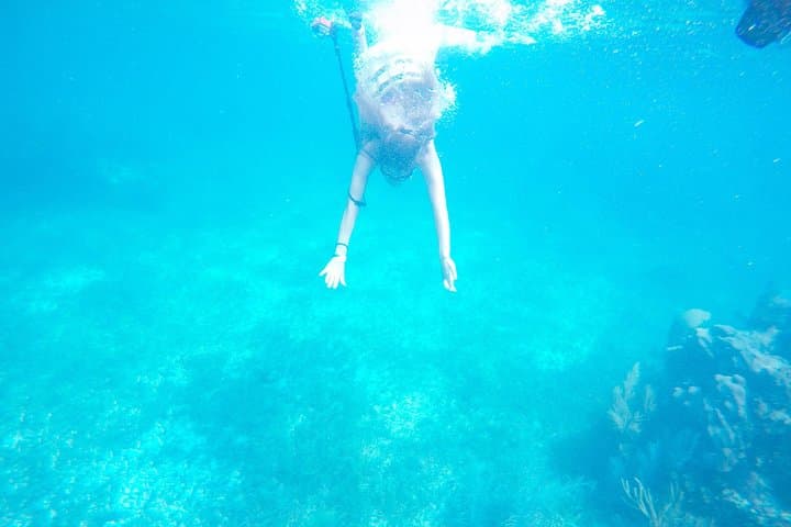 Cancun Speed Boat and Snorkel at El Angel Reef (Bonanza) photo 4
