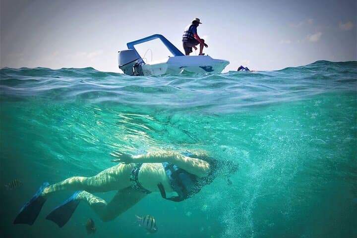 Cancun Speed Boat and Snorkel at El Angel Reef (Bonanza) photo 6