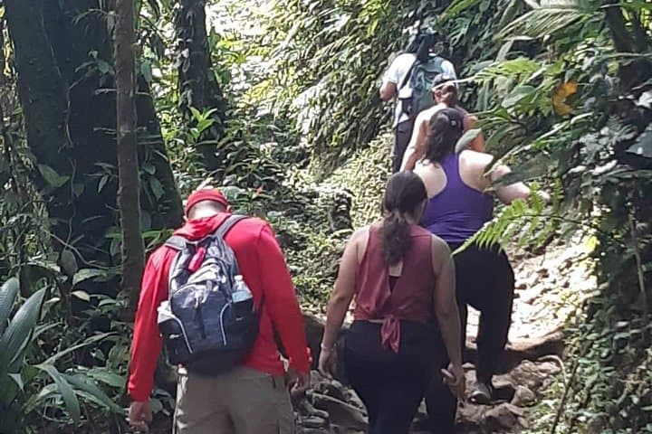 Private Rio Celeste Hike: Tenorio Volcano Blue River Tour from La Fortuna photo 5