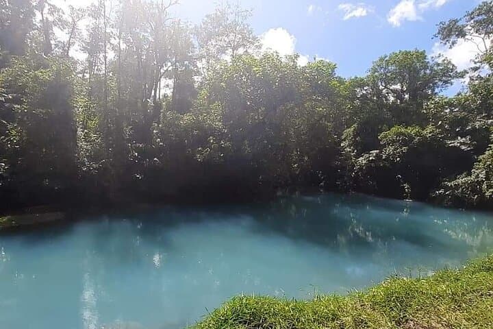 Private Rio Celeste Hike: Tenorio Volcano Blue River Tour from La Fortuna photo 6