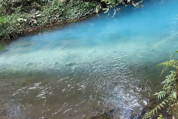 Private Rio Celeste Hike: Tenorio Volcano Blue River Tour from La Fortuna photo 2