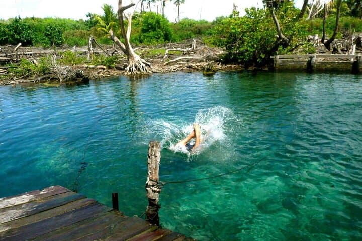 Full-Day Holbox Island Tour: Yalahau Lagoon, Sandbanks & Wildlife photo 3