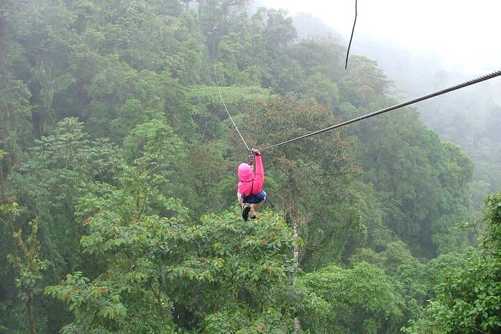 Soar Above Braulio Carrillo: Costa Rica’s Premier Canopy Zipline Adventure photo 3