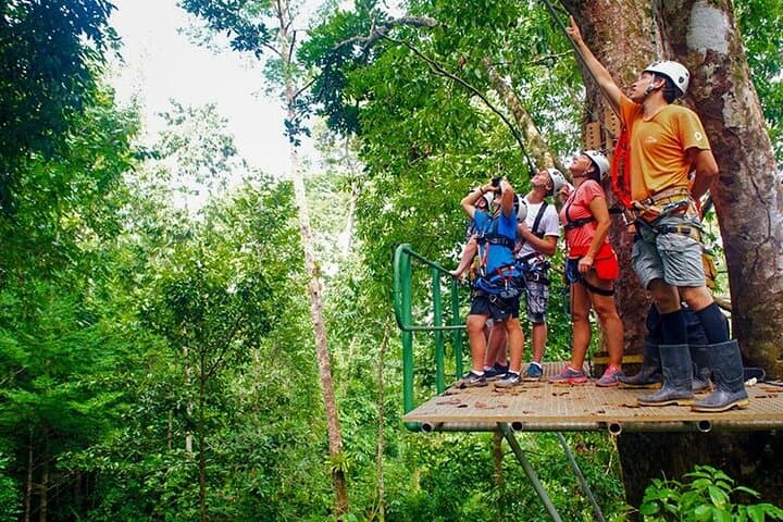 Canopy and Rafting Combo at Hacienda Pozo Azul — Zipline & Sarapiquí River Adventure from San José photo 6