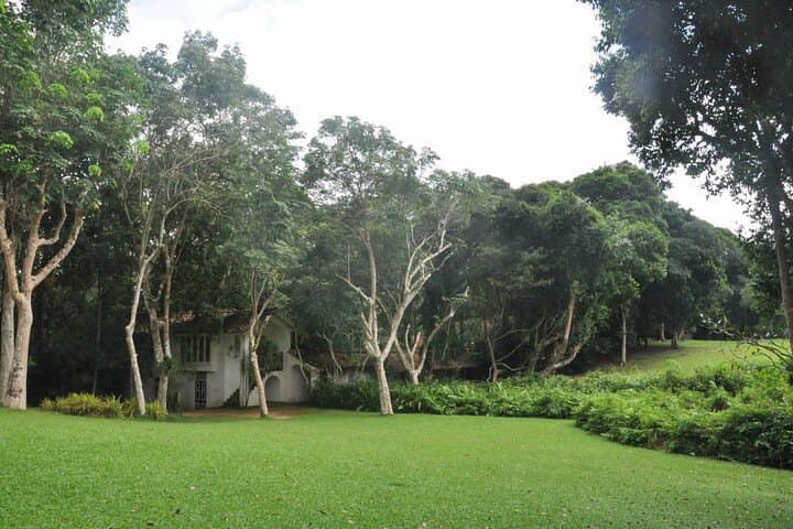 Bentota & Madu River Day Tour from Koggala: Lunuganga, Mangroves & Moonstones photo 3
