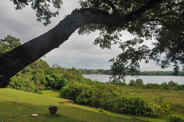 Bentota & Madu River Day Tour from Koggala: Lunuganga, Mangroves & Moonstones photo 6
