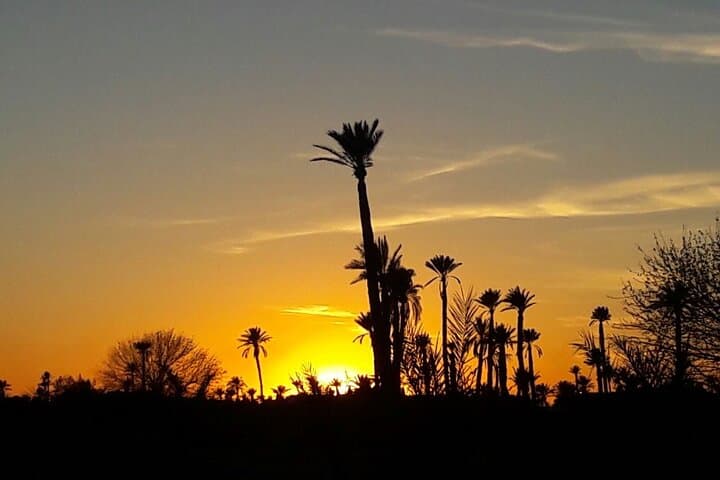 Sunset Camel Ride in Marrakech Palmeraie: Palm Grove Camel Tour & Berber Tea photo 4
