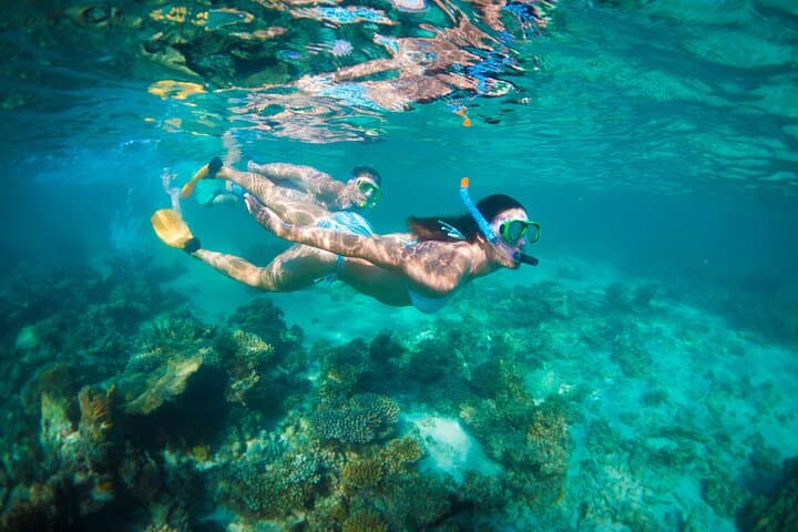 7-Day Exmouth Explorer: Pinnacles, Monkey Mia & Ningaloo Reef Adventure from Perth photo 2