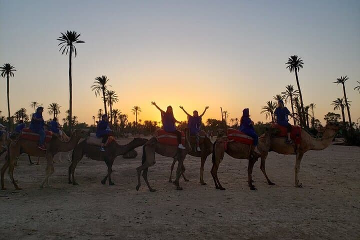 Sunset Camel Ride in Marrakech Palmeraie: Palm Grove Camel Tour & Berber Tea photo 5