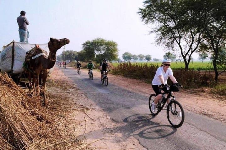 Jaipur Village Cycling Tour — Explore Rajasthan Villages by Bicycle with Lunch photo 3