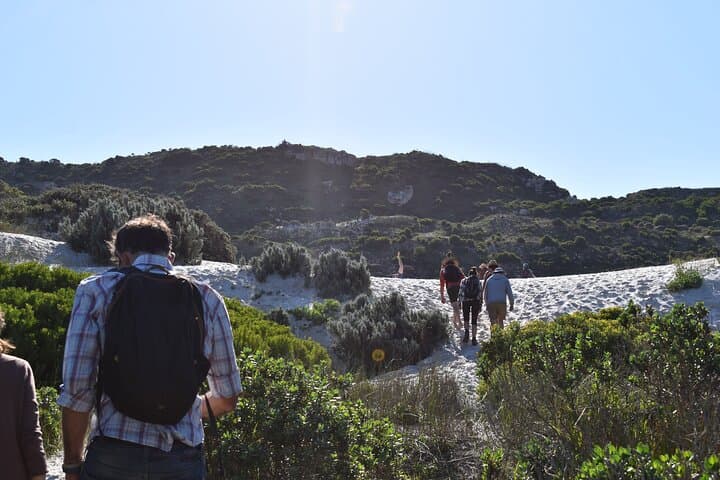 Wisdom in Nature: Personal Growth Journey in Langa, Cape Town photo 2