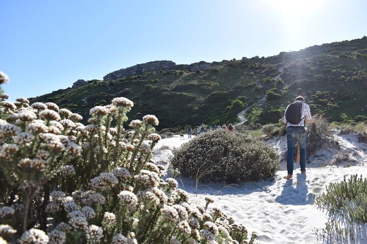 Wisdom in Nature: Personal Growth Journey in Langa, Cape Town photo 3