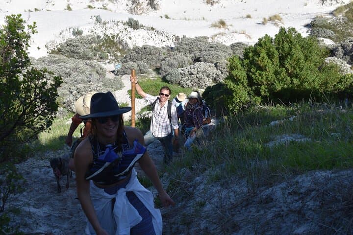 Wisdom in Nature: Personal Growth Journey in Langa, Cape Town photo 4
