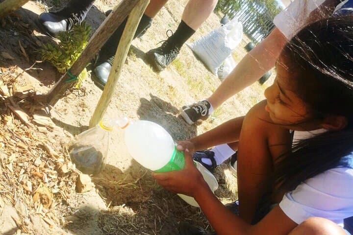 Plant Trees in Langa Township: Volunteer at a Cape Town School photo 2