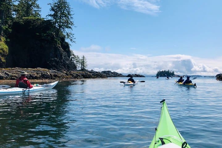 Full-Day Kayaking in Barkley Sound: Sea Lions, Kelp Beds & First Nations Beaches
