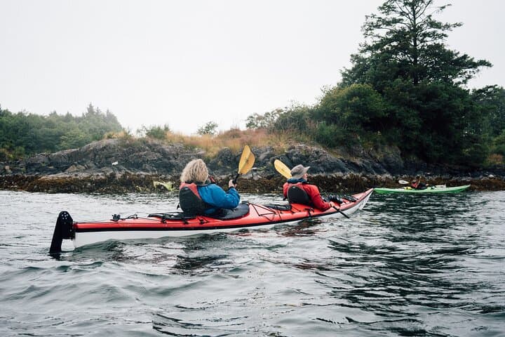 Full-Day Kayaking in Barkley Sound: Sea Lions, Kelp Beds & First Nations Beaches photo 2