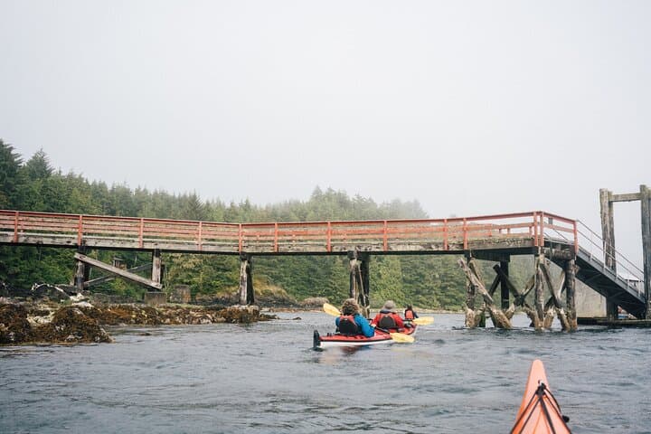 Full-Day Kayaking in Barkley Sound: Sea Lions, Kelp Beds & First Nations Beaches photo 4