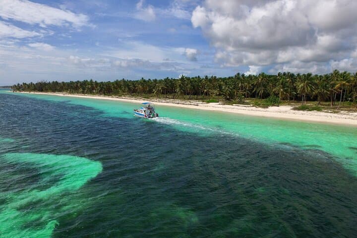 Adults-Only Catamaran Snorkel & Floating Kitchen at Punta Cana's Coral Nursery photo 3