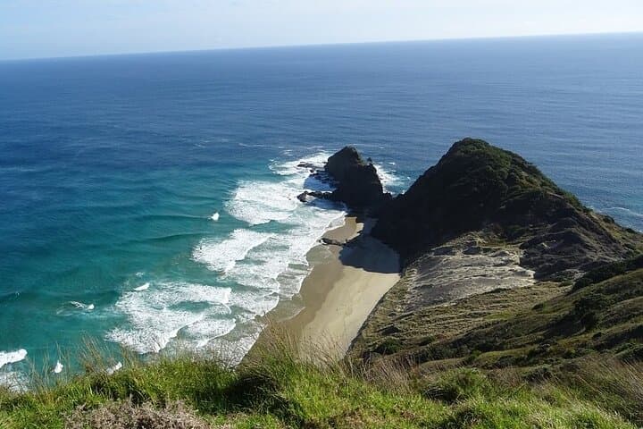 Cape Reinga Half-Day Tour with Scenic Flight from Paihia photo 2