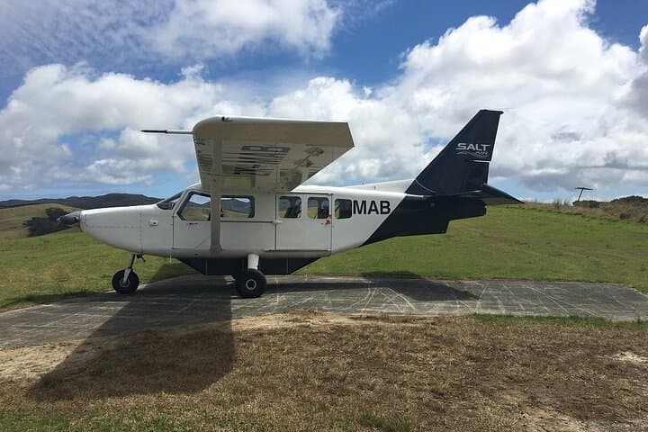Cape Reinga Half-Day Tour with Scenic Flight from Paihia photo 3