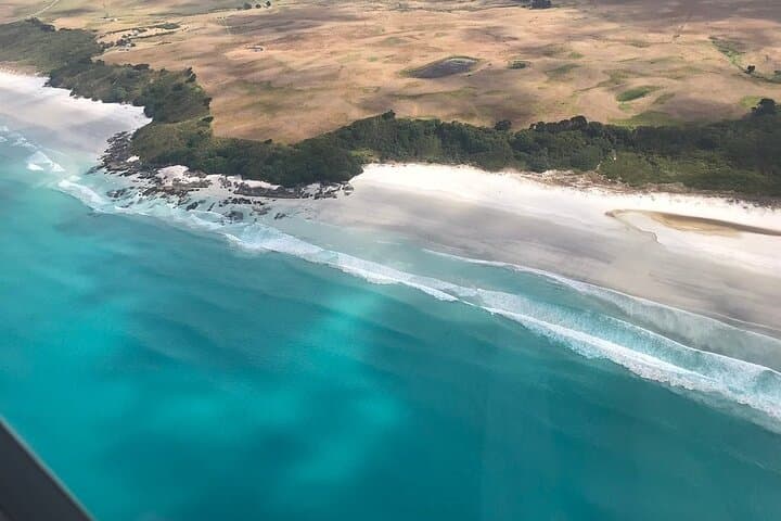 Cape Reinga Half-Day Tour with Scenic Flight from Paihia photo 4