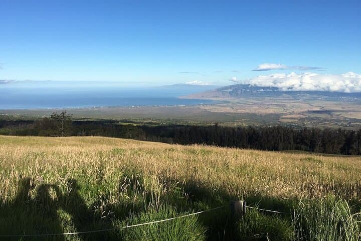 Haleakala Sunrise Downhill Bike Tour from Paia — 26-Mile Descent from 10,023 ft photo 3