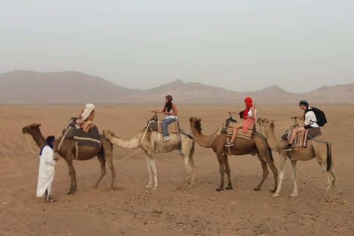 Zagora & Aït Ben Haddou: 2-Day Sahara Camel Trek and Kasbahs from Marrakech photo 3