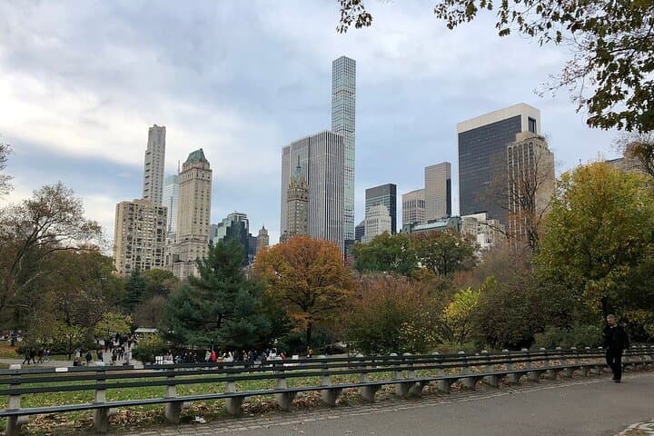 Central Park Guided Pedicab Tour — Private 1–3 Hour Highlights Ride photo 3