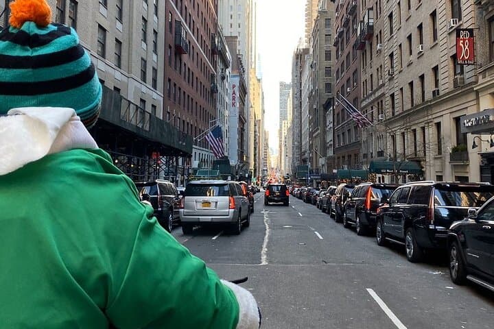 Central Park Guided Pedicab Tour — Private 1–3 Hour Highlights Ride photo 5