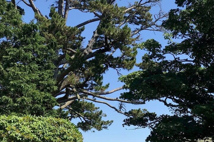 Connemara Day Trip: Kylemore Abbey & Wild Atlantic Way from Galway photo 4