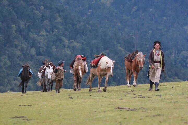 Photography Tour Through Thimphu, Dochula Pass & Punakha — Day Trip photo 4