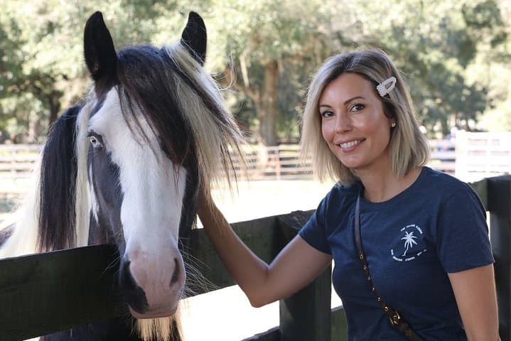 Gypsy Gold Farm Tour — Meet Gypsy Vanner Horses Near Orlando photo 6