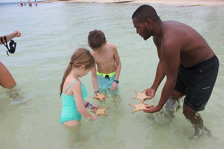 Private Half-Day Stingray City, Snorkeling & Starfish Beach Tour — Grand Cayman photo 5