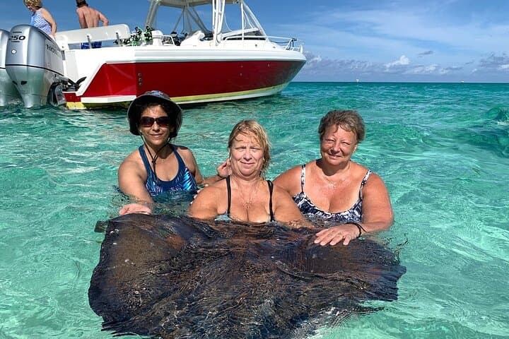 Private Half-Day Stingray City, Snorkeling & Starfish Beach Tour — Grand Cayman photo 2
