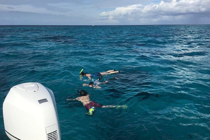 Private Half-Day Stingray City, Snorkeling & Starfish Beach Tour — Grand Cayman photo 4