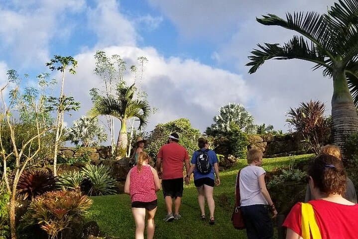Princeville Botanical Gardens Walking Tour & Gourmet Chocolate Tasting, Kauai photo 4