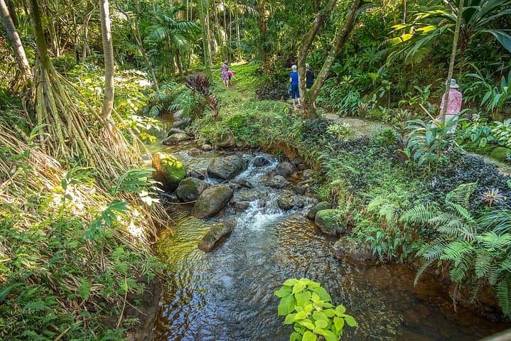 Princeville Botanical Gardens Walking Tour & Gourmet Chocolate Tasting, Kauai photo 5