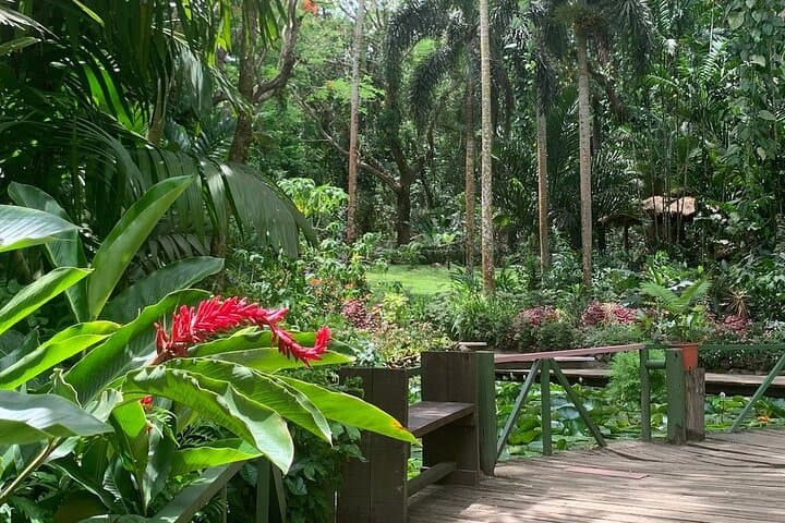 Sabeto Hot Spring Mud Pool & Garden of the Sleeping Giant: Half-Day Nature and Village Tour from Nadi photo 3