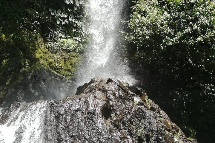 Ayung River Rafting from Ubud: 12km, Class II–III Rapids with Lunch & Transfers photo 5