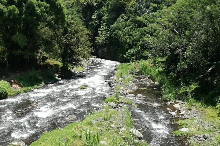 Ayung River Rafting from Ubud: 12km, Class II–III Rapids with Lunch & Transfers photo 6