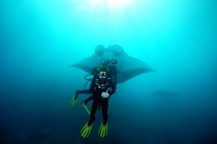 Try Dive with Manta Rays at Manta Point, Nusa Penida — Non-Certified Dives from Sanur photo 3