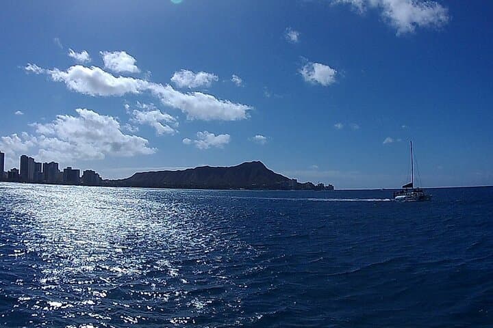 Morning Turtle Canyon Snorkel and Dolphin Sail from Waikiki photo 6