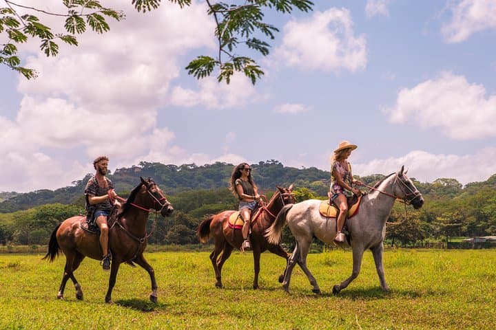 Horseback Riding to Conchal Beach from Tamarindo & Flamingo — Coastal Trail Ride in Guanacaste