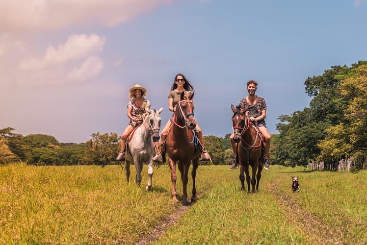 Horseback Riding to Conchal Beach from Tamarindo & Flamingo — Coastal Trail Ride in Guanacaste photo 6