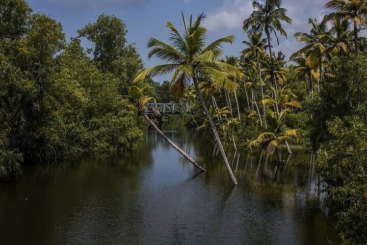 South India Discovery: 8-Day Kerala & Tamil Nadu Private Tour from Kochi to Chennai photo 5