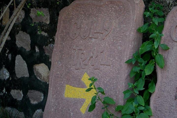 Rao Jodha Desert Rock Park Guided Walk — Volcanic Rocks, Desert Flora & Mehrangarh Views photo 4